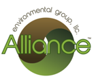 Alliance Group Inc